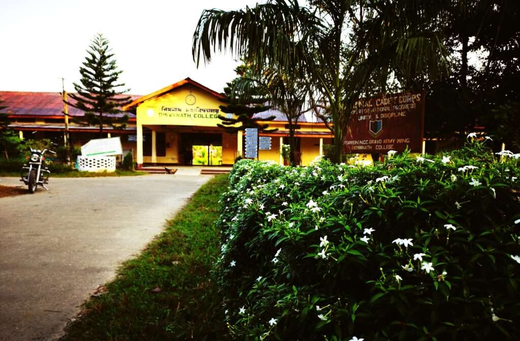 Biswanath College